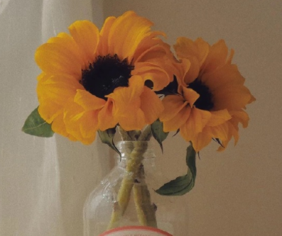 开启美好一天的好听句子 美好的一天又开始了的短句