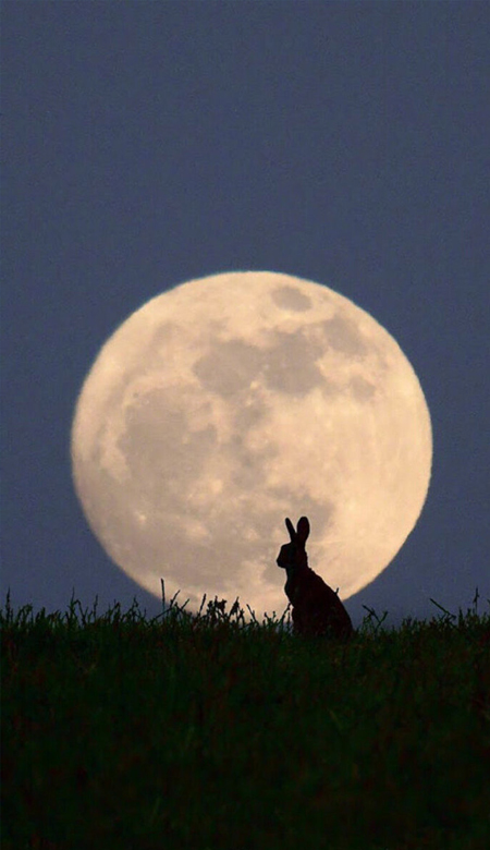 超有趣又超级可爱的全面屏壁纸 你笑起来比较好看