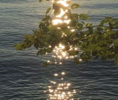 很刺心的很伤感的难过签名 2023字字扎心难过的签名