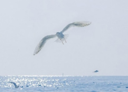 2023再见2023你好唯美说说 关于2023的感慨句子