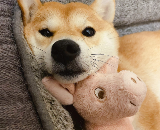 2023撩爆男朋友的土味情话 土味情话大全撩男朋友