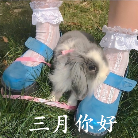 2023三月你好的唯美早安图片 所有平凡都伟大所有苟且都开花