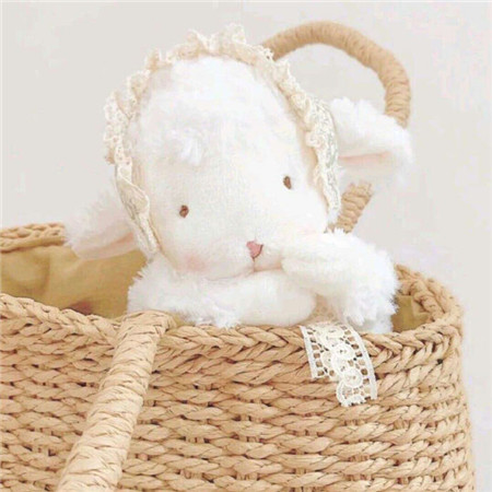 精选很治愈的萌宠图片大全可爱高清 超呆萌的可爱萌宠微信素材2023