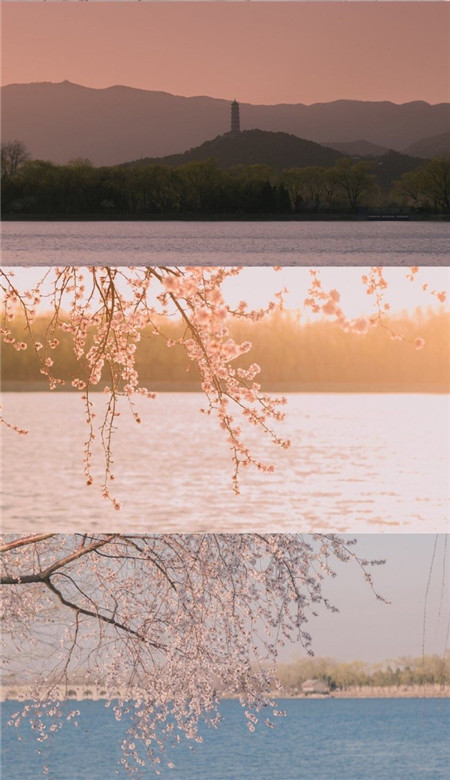 春季微信空间皮肤拼接风景壁纸 是春天该有的壁纸