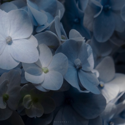 2023暗黑系意境风景微信伤感头像 要努力和自己喜欢的一切在一起