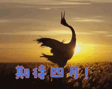 2023四月你好唯美动态表情包 山与大海四月人间