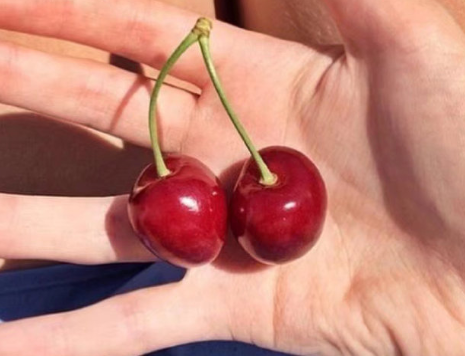 怼人不带脏字情商高的人发的说说 高情商怼人不带脏字的句子