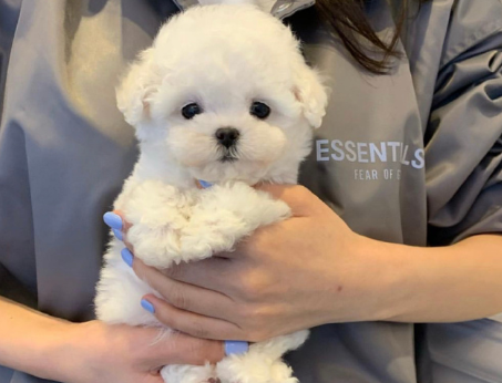 霸气说说大全2023最新版的 很高冷的酷酷的文案