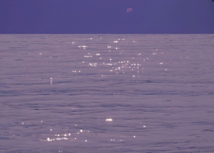 2023最走心的爱情格言文案 关于爱情的成熟语录