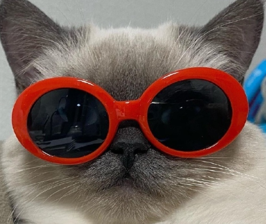 阴阳怪气的怼人文案 很高级的怼人语录