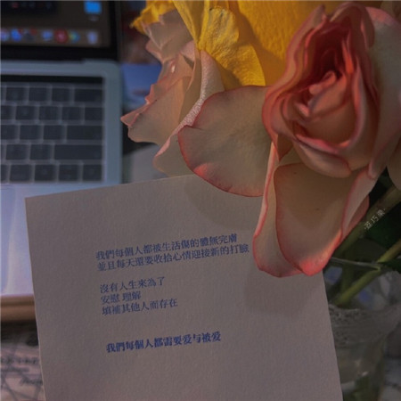 让人舍不得删掉的背景图片 2023超好看的有质感的背景图