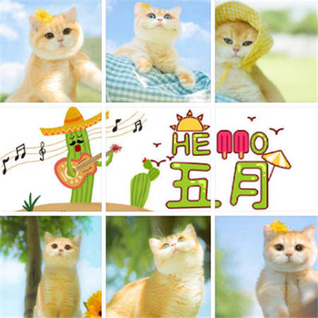 2023五月你好唯美九宫格素材图片 迎接五月的朋友圈素材