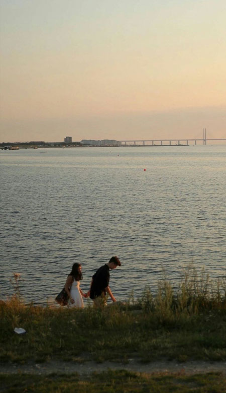 2023幸福又高级的520手机壁纸 超级甜蜜的520皮肤大全