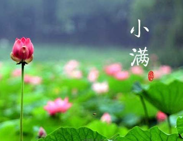 二十字节气小满经典说说 2023小满节气快乐正能量祝福语