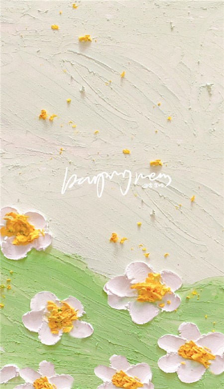 2023最潮手机壁纸抖音 高清无水印201最火抖音皮肤