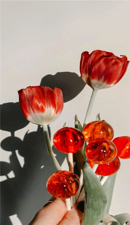 好看又很干净的手机壁纸 2023全面屏手机壁纸大全