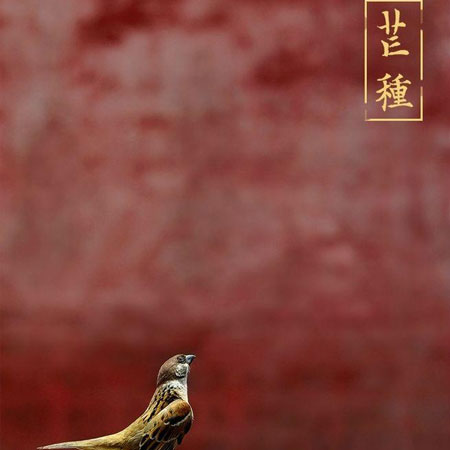 芒种节气唯美带字空间配图素材2023 芒种超级好看的素材大全