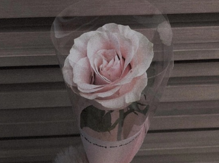 唯美煽情高级暖心的情话 情话最暖心给女生