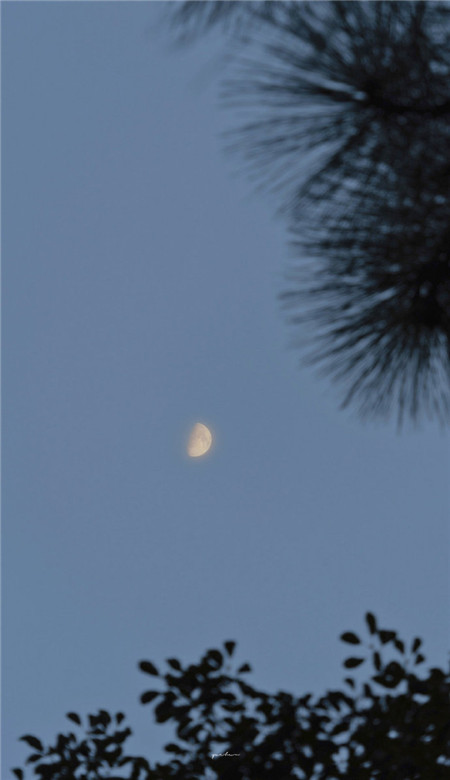 2023最潮的苹果手机壁纸 最新流行的很有个性的苹果手机皮肤