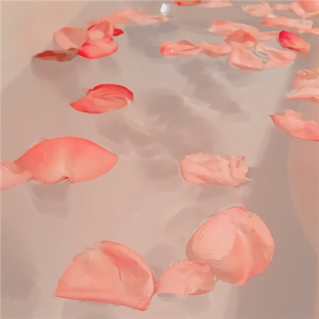 2023超级可爱的热门朋友圈背景图 可爱气质爆棚的素材合集