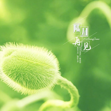 六月再见七月你好图片大全2023 七月你好超级唯美的朋友圈配图