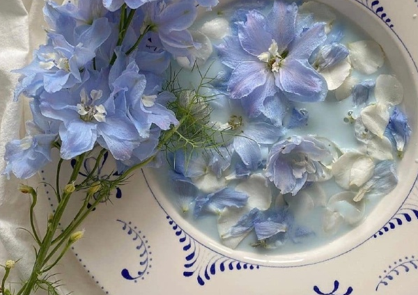 2023七月发朋友圈的励志短句 七月你好正能量语录