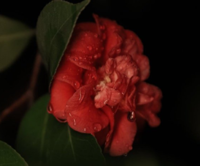 适合分手发朋友圈不煽情的文案 分手发的很有意思的句子