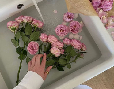 帮助人走出失恋的句子 快速从失恋中走出来的文案