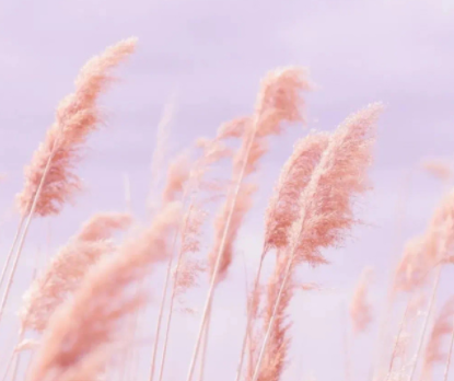 霸气的晒幸福签名句子 满满幸福感的句子