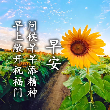 早上好最新图片带字的祝福语 2023最新版早上好祝福图片