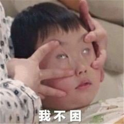 自闭了常用可爱又很搞笑的聊天表情 2023最新我自闭了搞笑表情合集