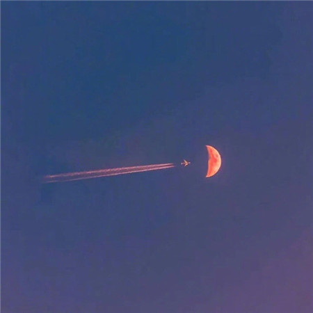 又丧又很唯美的个性背景图大全 2023最新版丧系的背景图合集