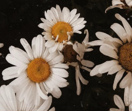 微信最流行最潮的个性网名 很火很热门的气质个性昵称