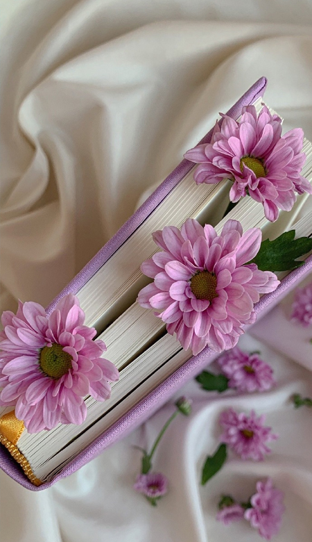 好看的让你忍不住会收藏的壁纸大全 唯美的超级好看的皮肤2023