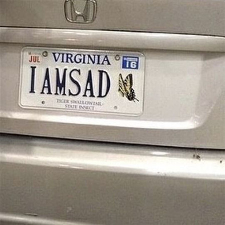 浪漫又很有个性的车牌号背景图 2023全新热门车牌号素材合集