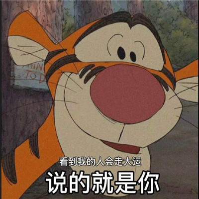 2023虎年俏皮的可爱的小老虎表情 2023虎力全开可爱的表情合集