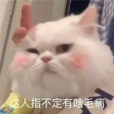 2023趣味又很可爱的微信表情大全 新的一天早上好啊