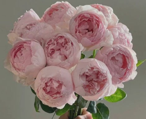 2023虎年朋友圈励志说说 超级励志的句子致自己