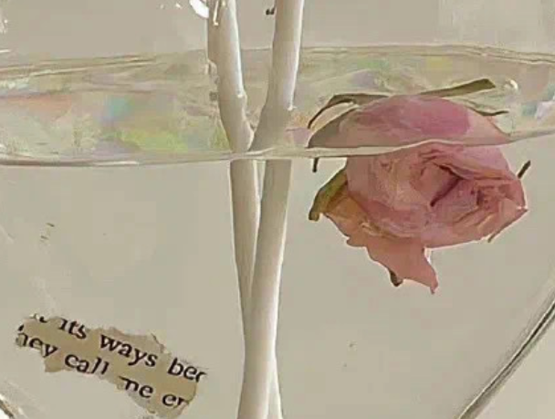 深夜一个人喝闷酒的说说 独自一人喝点酒的感慨语录