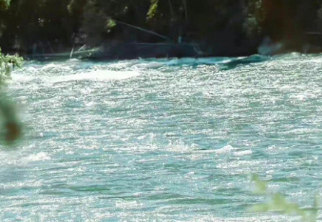 不甘心却又无能为力的说说 不甘心却又无能为力的说说 不甘心却又无能为力的说说 不甘心却又无能为力的说说