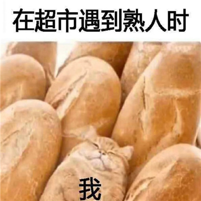 2023最热门表情包超级赞 聊天时很欢乐实用的表情