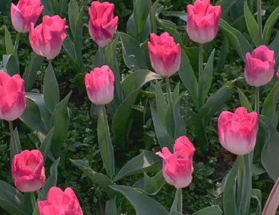 最近很消极情绪低落的说说 对什么事情都提不起兴趣的句子 最近很消极情绪低落的说说 对什么事情都提不起兴趣的句子