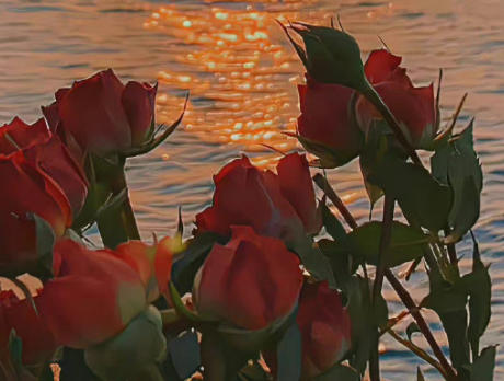 静静的孤独的个性签名 安静独处的个性签名 静静的孤独的个性签名 安静独处的个性签名