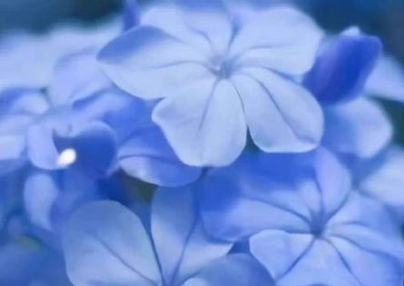 心事重重发朋友圈的说说 心事太多太压抑的句子 心事重重发朋友圈的说说 心事太多太压抑的句子