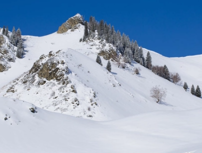 2022冬季第一场雪的心情说说 2022初雪的唯美语录 2022冬季第一场雪的心情说说 2022初雪的唯美语录