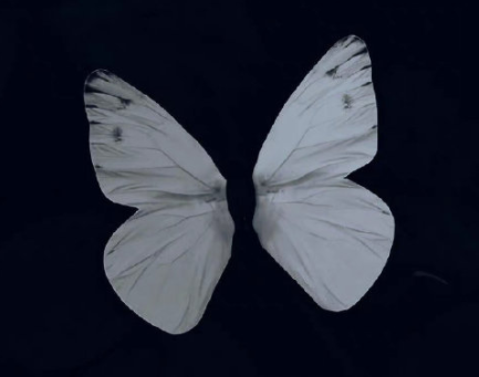 没有人依靠的心酸句子 一个人无助没人帮的句子 没有人依靠的心酸句子 一个人无助没人帮的句子