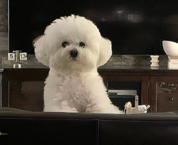 鼓励自己要坚持不懈签名 逆境中鼓励自己的签名 鼓励自己要坚持不懈签名 逆境中鼓励自己的签名