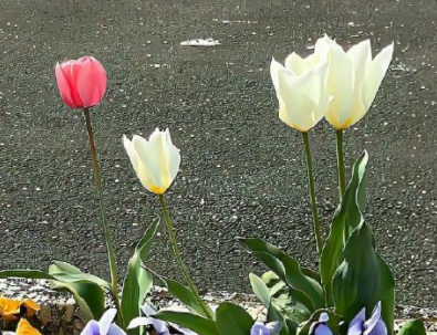 闲鱼卖家吸引人的昵称 简单好听的闲鱼网名 闲鱼卖家吸引人的昵称 简单好听的闲鱼网名