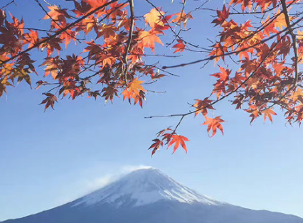 零零碎碎的生活文案 生活碎片治愈系说说