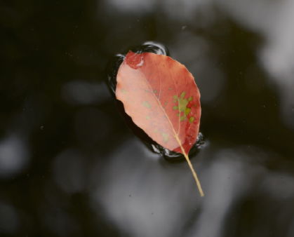 去玩蹦床的心情说说 大人玩蹦蹦床的开心说说